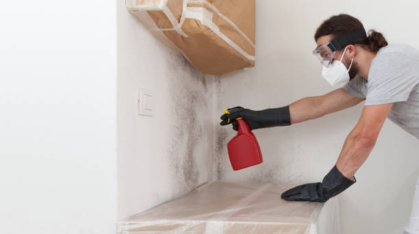 Professional Mold Inspection And Testing technician working in Salem, MA